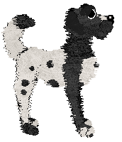 Cirrutopia/FDL's Emphasized Difference — “Contrari”