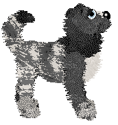 Spellbound/FDL's Yuletide Evergreen — “Fraser”