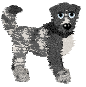 Spellbound/FDL's Yuletide Evergreen — “Fraser”