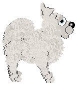 Profile image of Witz/FDL's Sweet & Fluffy