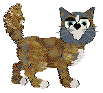 SDX/Rattlesnake's Roll Um Easy — “Danika”