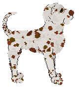 Sz's Paranoid Android at Ephemera — “Coquette”