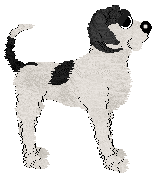 Sz's Exit Music (For A Film) at Ephemera — “Natalya”