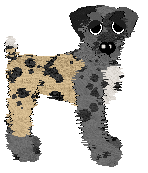 Poppyhill's Fitter, Happier at Ephemera — “Teddi”