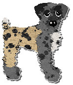 Profile image of Poppyhill's Fitter, Happier at Ephemera