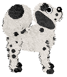 Cargo's Snoopy, Come Home — “Charlie”