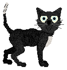 Profile image of King's Prince of Cats