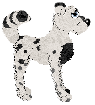 Krunchez Cast Iron — “Skillet”