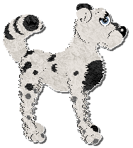 Profile image of Krunchez Cast Iron