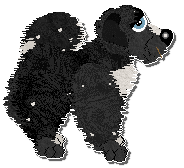 Profile image of Krunchez The Slowest Loris