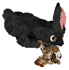 seta's Herald of Good Fortune — “Lucky”