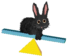 seta's Herald of Good Fortune — “Lucky”