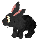 seta's Herald of Good Fortune — “Lucky”