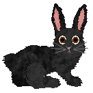 seta's Herald of Good Fortune — “Lucky”