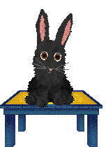 seta's Herald of Good Fortune — “Lucky”