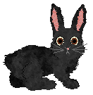 seta's Herald of Good Fortune — “Lucky”