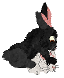 seta's Herald of Good Fortune — “Lucky”