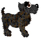 Andervale Greenwood Echoes — “Maisie”