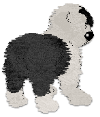 Profile image of Cargo's Sacred Texts