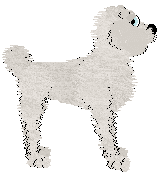 Tangle's Vanilla Bean Ice Cream — “Vanilla Bean”