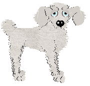 Profile image of Tangle's Vanilla Bean Ice Cream