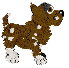 Tangle's Sassafras and Sugar — “Root Beer”