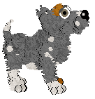 Profile image of Sz/Tangled's Acclaimed Swordsmith