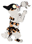 Perfume/Calluna’s Brave Lark — “Poppy”