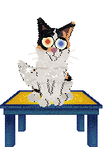 Perfume/Calluna’s Brave Lark — “Poppy”