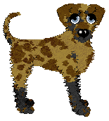 Opolire Shadow of The North Star at Amphigory — “Shadow”