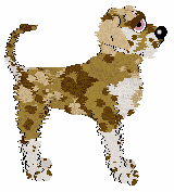 Opolire’s Well Loved Friend — “Teddy”