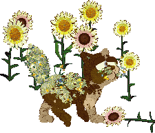 Calluna's Where the Wildflowers Grow — “Laney”