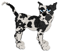 Profile image of Cargo's Rainier