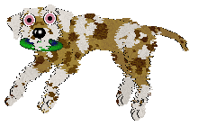 Opolire's Everyone's Favorite Treat at Vanilla — “Biscuit”