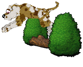 Opolire's Everyone's Favorite Treat at Vanilla — “Biscuit”