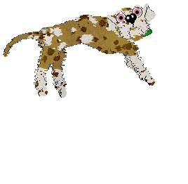 Opolire's Everyone's Favorite Treat at Vanilla — “Biscuit”