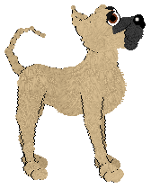 Cargo's Close To The Sun — “Wikarus”