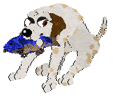 Obzocky's Gilded Petals @ Mockingbird — “Betty”