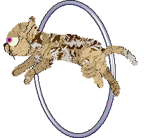 Funfetti/Calluna's Piece of Cake — “Castella”