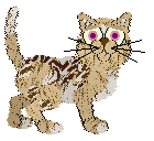 Funfetti/Calluna's Piece of Cake — “Castella”