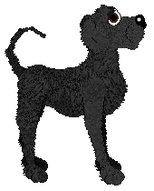 Cargo's Summer Witch — “Marzipan”