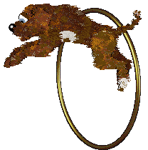 Opolire Painted In Amber — “Amber”