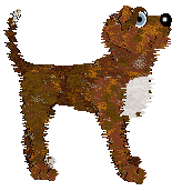 Opolire Painted In Amber — “Amber”