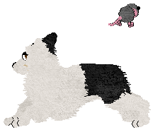 Crystal Rose's Law of Return at Come Bye — “Wiccan”