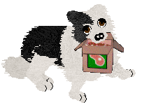 Crystal Rose's Law of Return at Come Bye — “Wiccan”