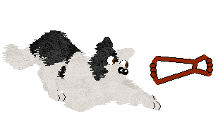 Crystal Rose's Law of Return at Come Bye — “Wiccan”