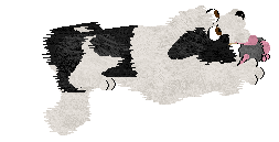 Crystal Rose's Law of Return at Come Bye — “Wiccan”