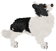 Crystal Rose's Law of Return at Come Bye — “Wiccan”