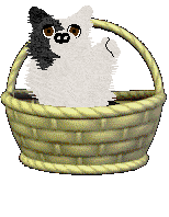 Crystal Rose's Law of Return at Come Bye — “Wiccan”