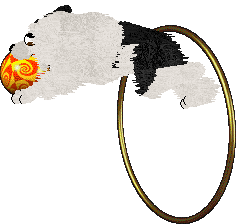 Crystal Rose's Law of Return at Come Bye — “Wiccan”